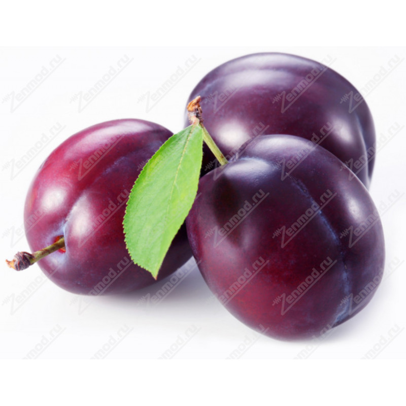 Фото и внешний вид — FlavorWest Plum 10мл