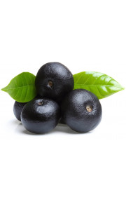 Capella SL - Acai 10мл