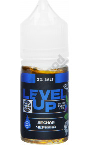Level Up Ice SALT - Лесная Черника 30мл