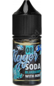 PANDA'S JIGGER SALT - №8 Soda Blueberry With Mint 30мл
