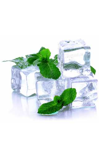 TPA - Menthol 10мл