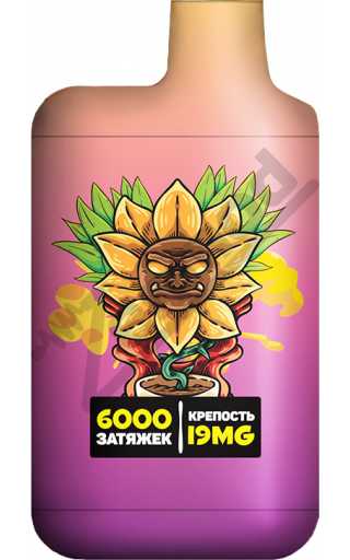 TURBO 6000 - Peach Mango Pineapple