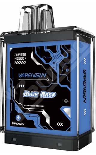 Vapengin Jupiter 6000 Cartridge - Черника и Малина