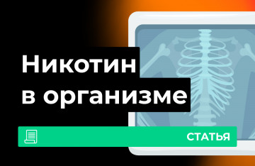 Никотин от вейпа в организме